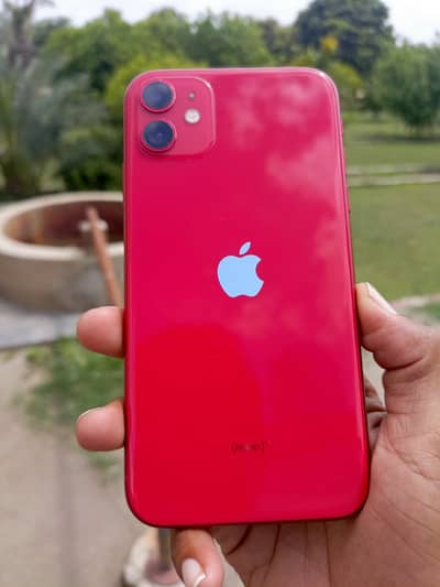i phone 11 pta approved official 64 gb