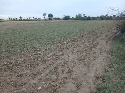 30 kanal agriculture and faram house land  for sale interchange balksar chakwal