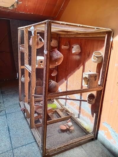 Parot cage