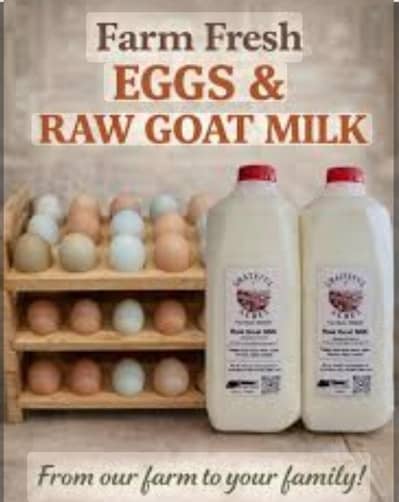 Organic Eggs and Fresh Goat Milk