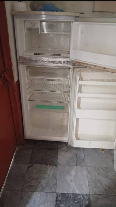 Samsung fridge lush condition