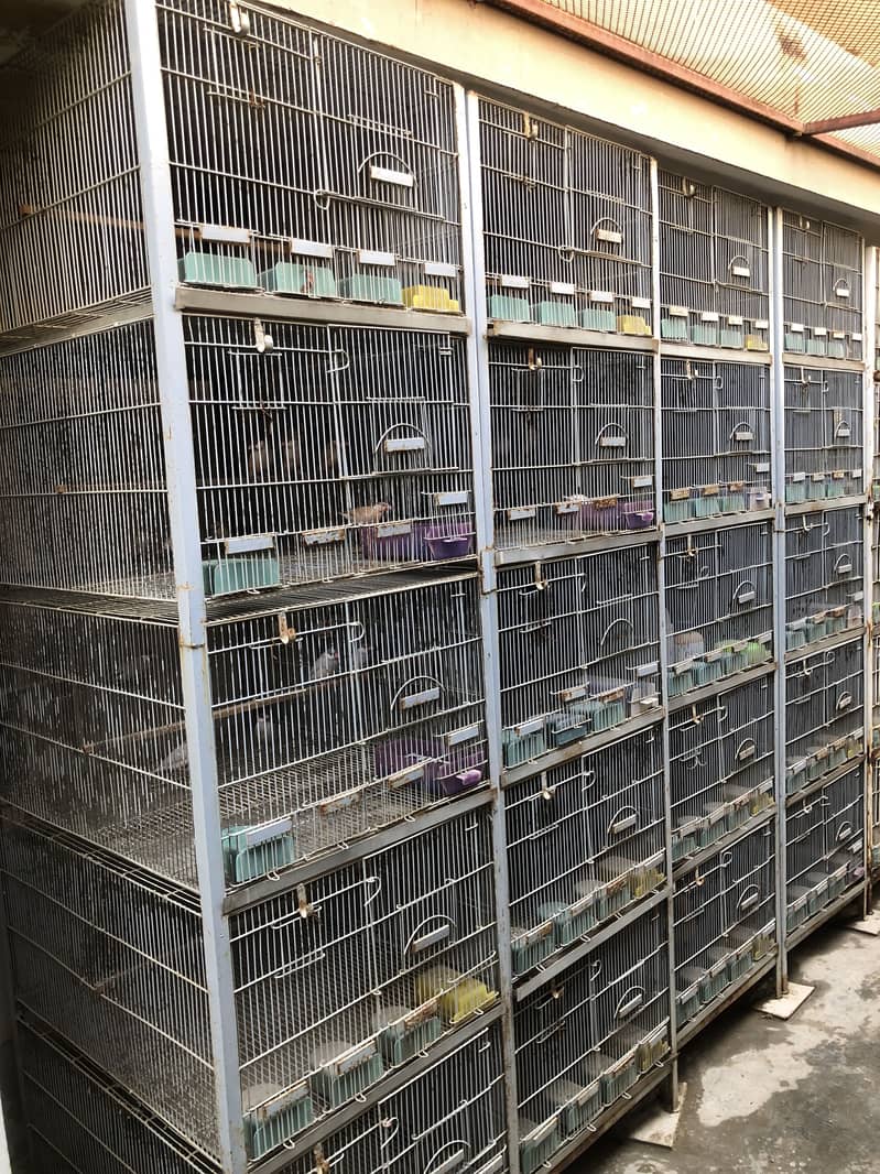 Conure/lovebirds/java cages 0