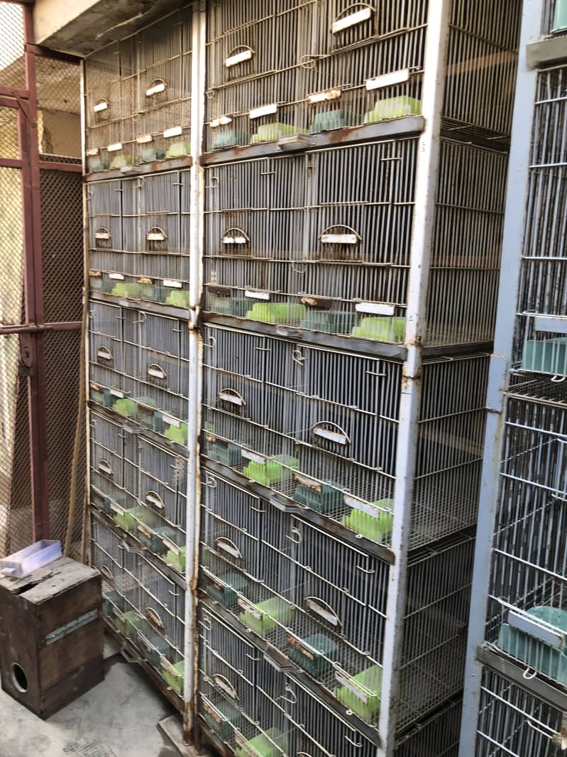 Conure/lovebirds/java cages 1