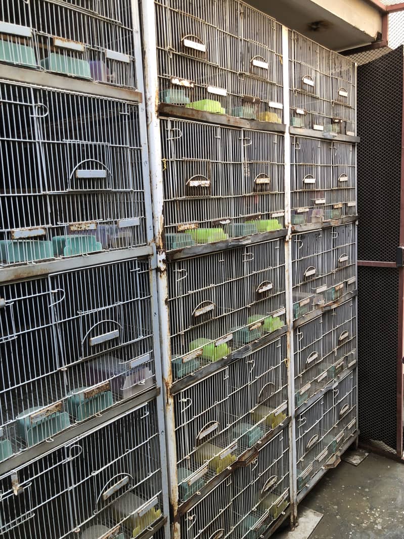 Conure/lovebirds/java cages 2