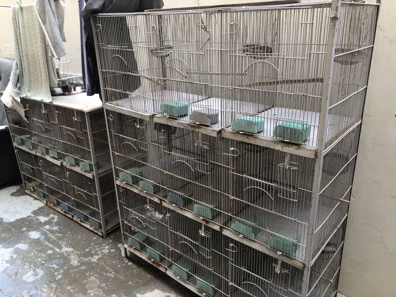 Conure/lovebirds/java cages 3