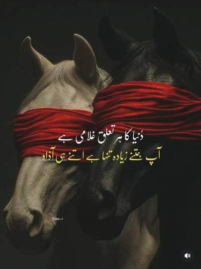 Refreshments And Rabri Doodh shef