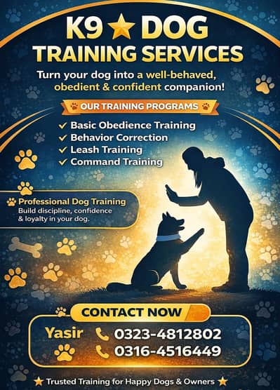 German shepherd  Labradour Golden Retriever