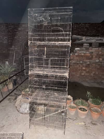 Dark head pastal fawn split java and cages