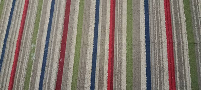 Multi colored carpet