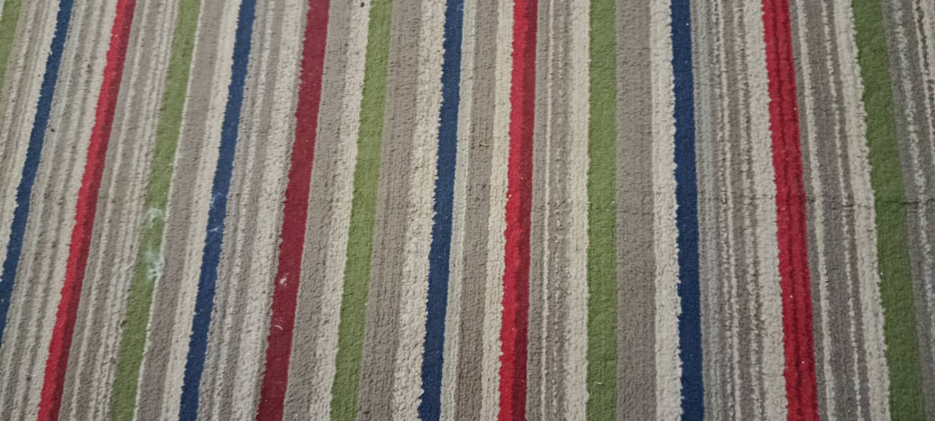 Multi colored carpet 1