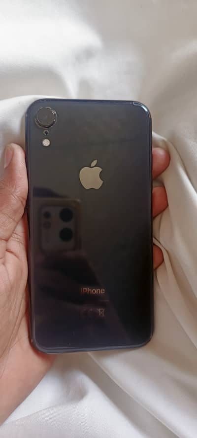 Lush condition official non pta