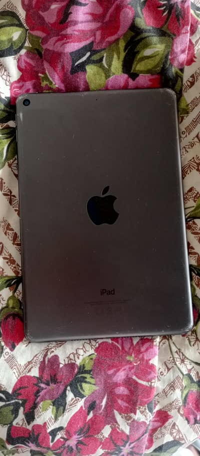 i pad mini 5 64 gb memery