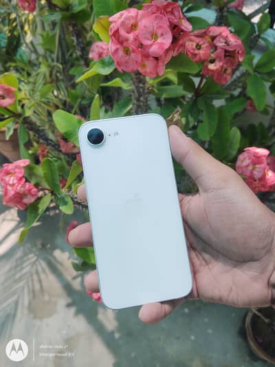 Iphone 16e with box  under warranty