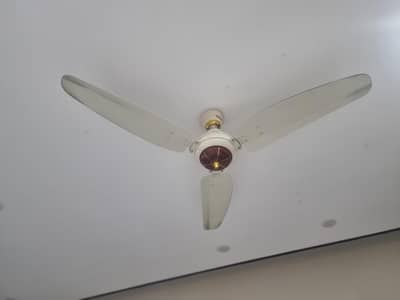 Royal Ceiling Fans