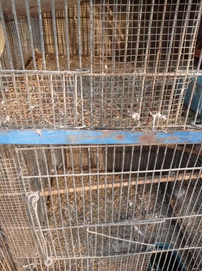 12 portion iron cage