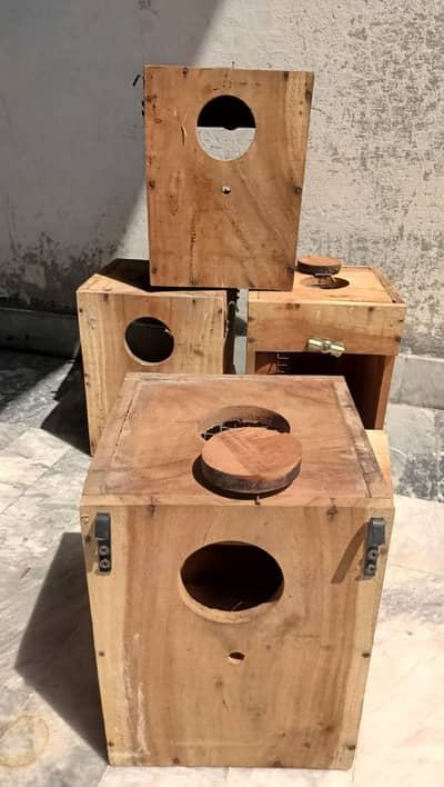 cocktail and love bird  breeding box