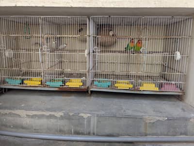 1.5ft x 2ft partition cage