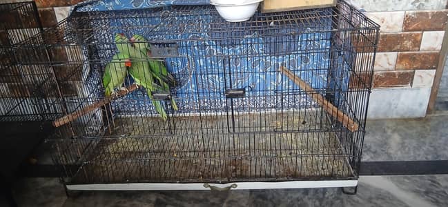 3ft by 1.5 by 15 cage  for sale with patition