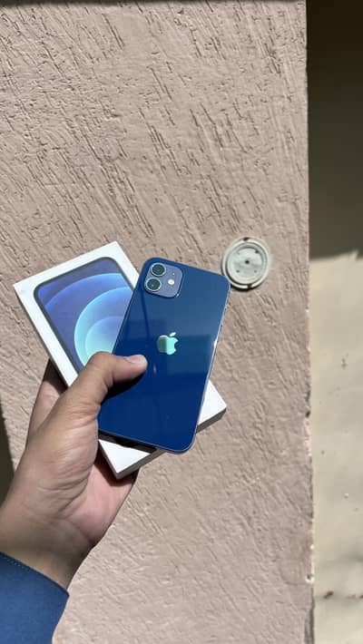 Iphone 12 pta approve 128gb