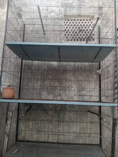 Custom made heavy iron cage | 7 feet large size | With 5 parrot houses