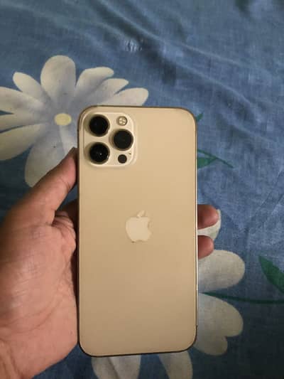 12 pro Max 256 Dual Physical PTA.