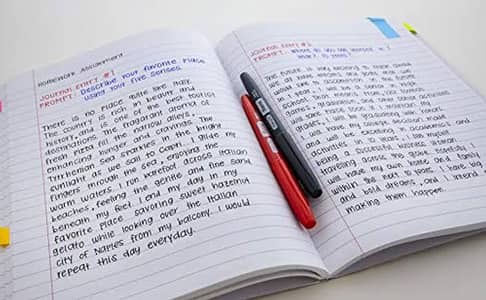 Hand writing Assignment work Available.