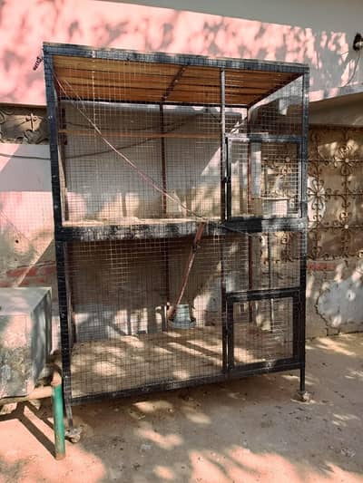 cage dabol bht mazbut banwaya hoa ha