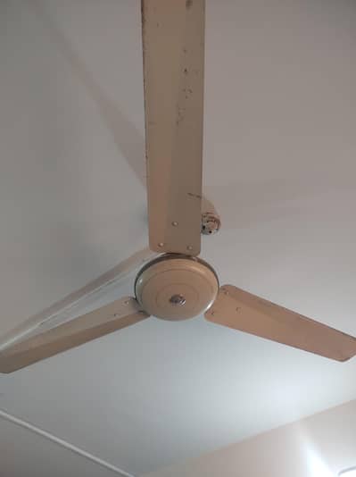 All Cooper 6 Fans Per Fan RS 3500 and 6 For 20,000