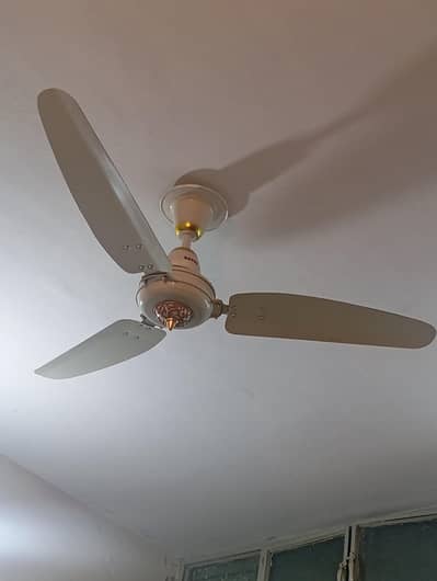 2 royal fans 75 watt