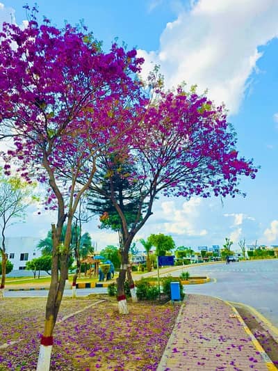 8 MARLA POSSESSION READY FOR CONSTRUCTION PLOT FOR SALE F-17 ISLAMABAD ALL FACILITY AVAILABLE CDA PPROVED SECTOR