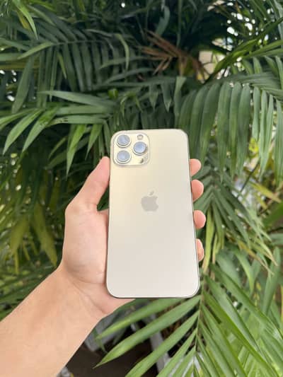 Iphone 13 Pro max 256gb pta approved