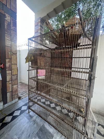 Heavy-Duty Bird Cage for Sale