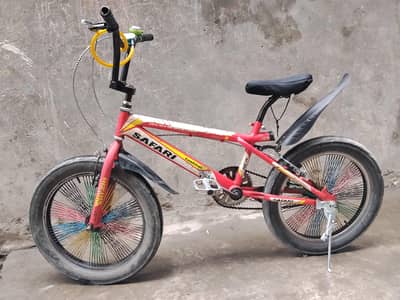 Safari Fat Tire Sport Bicycle – Heavy Duty for children and teenager