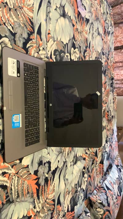 Hp 8gb ram 256gb ssd hp display