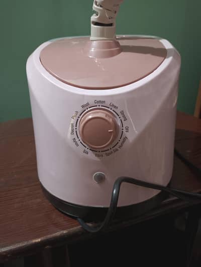 Standing Garment Steam Iron