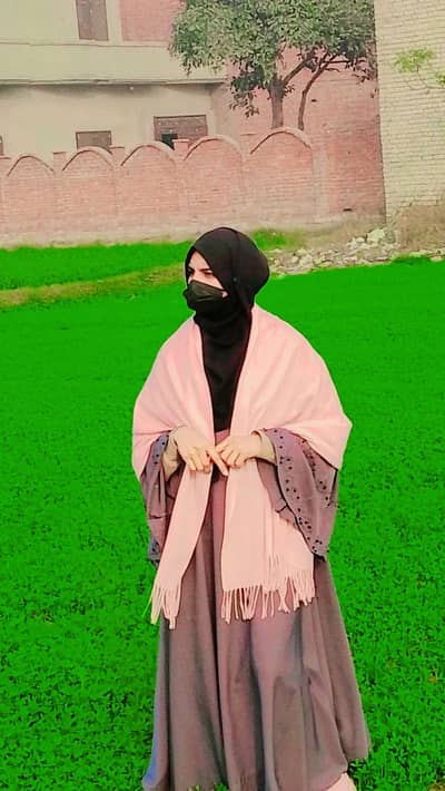 looking for job middle Pas