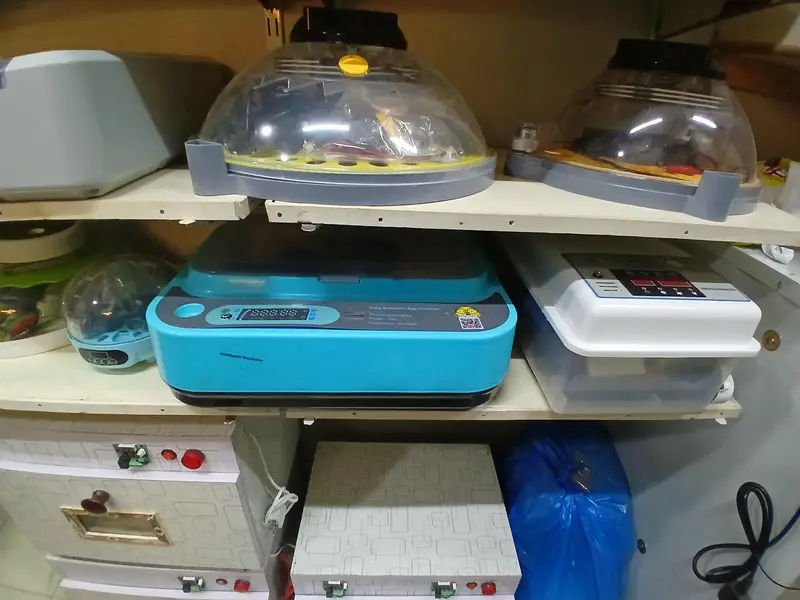 Eggs Incubator Automatic Incubator Eggs Hatching Machine — photo 2