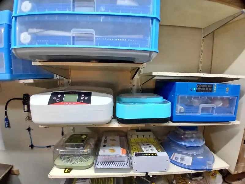 Eggs Incubator Automatic Incubator Eggs Hatching Machine — photo 3