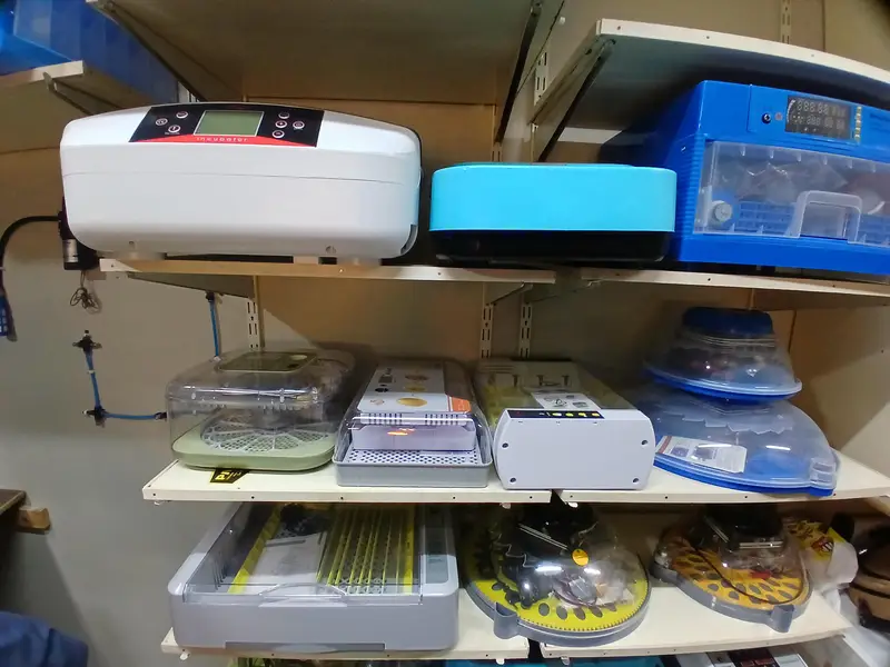 Eggs Incubator Automatic Incubator Eggs Hatching Machine — photo 4