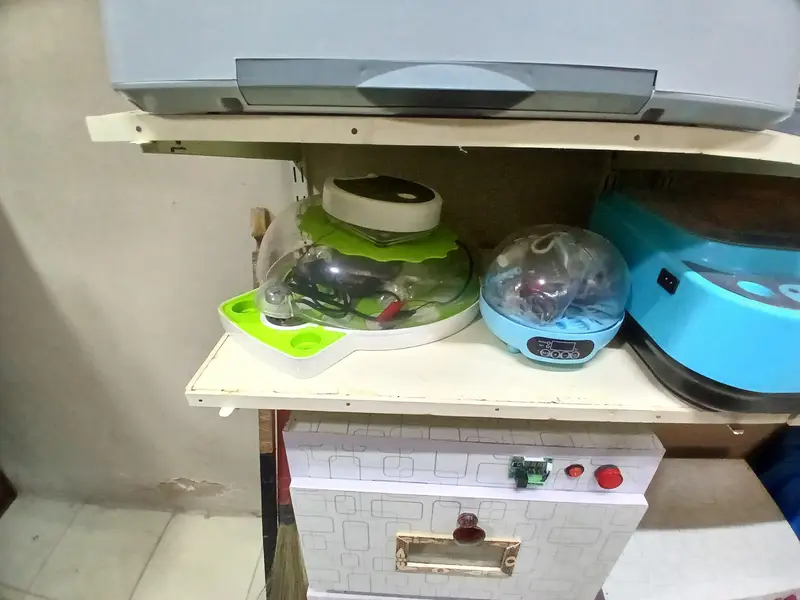 Eggs Incubator Automatic Incubator Eggs Hatching Machine — photo 8