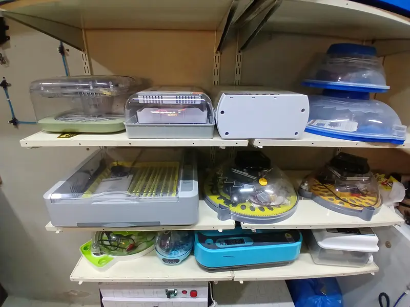 Eggs Incubator Automatic Incubator Eggs Hatching Machine — photo 9