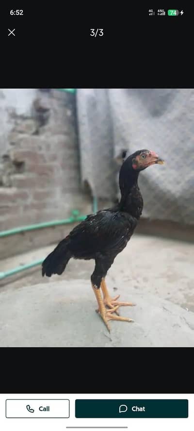 big offer and final price