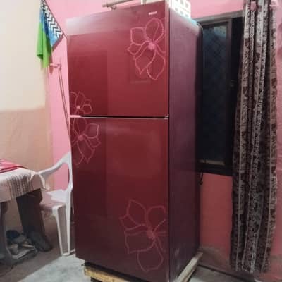 Home use Refrigerator
