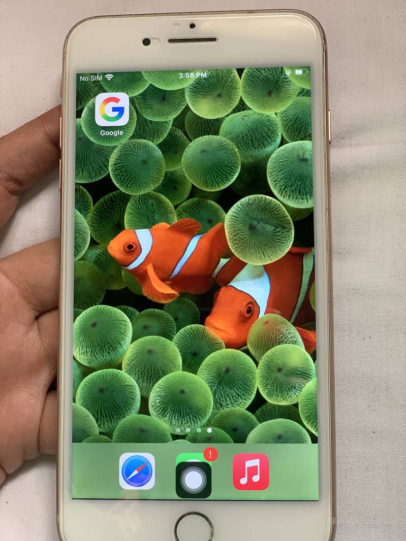 iPhone 8 Plus 0