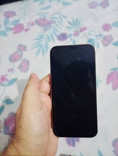 Scratch less 12 ProMAx