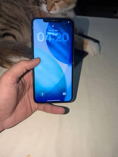 iphone 11 pro max dual sim tym available