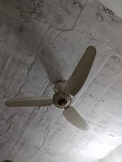 G F C Ceiling Fans same 4