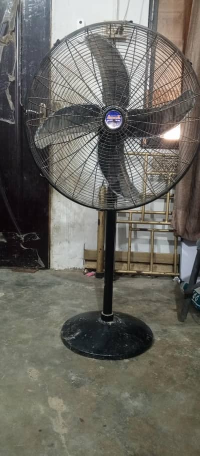 3 black pedestal and 1 white bracket fan available