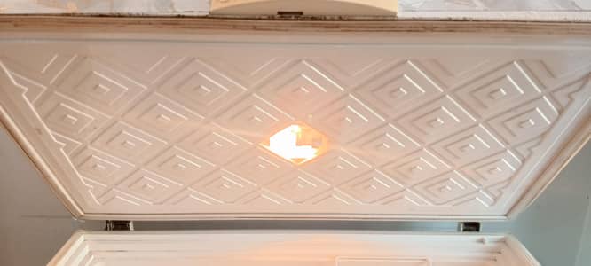 Waves WDF-313 Single Door Deep Freezer