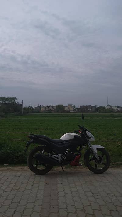 ccr 150 brand new condition